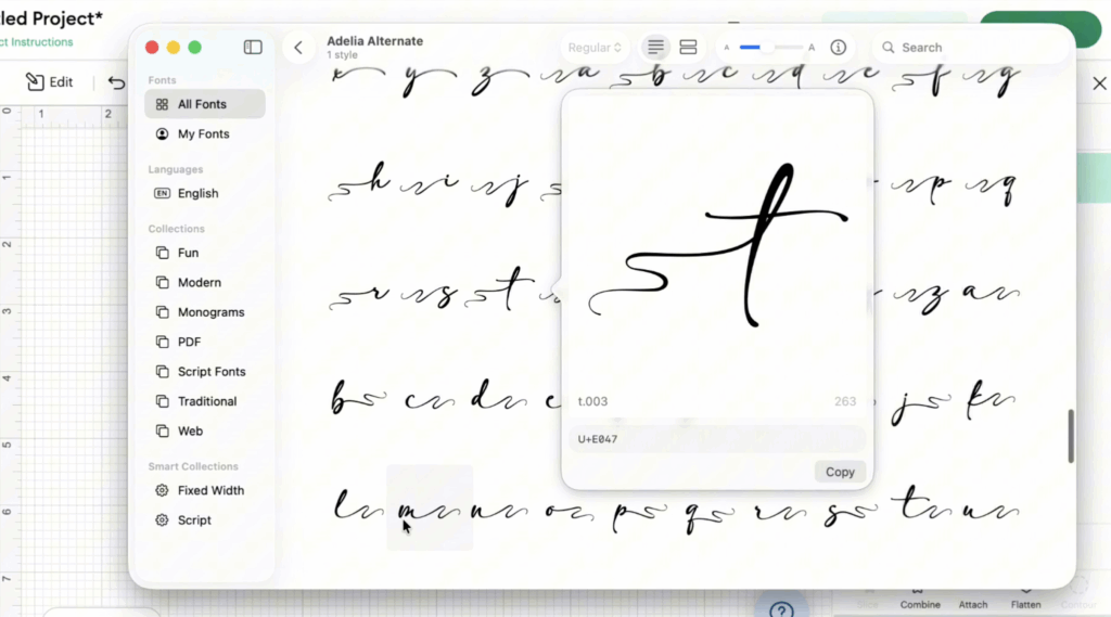 Mac Font Book popup preview displaying a decorative lowercase t glyph with extended swashes.
